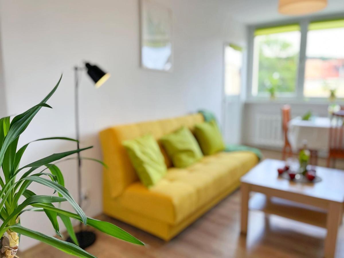 ואלבריץ' Apartament Parkowy מראה חיצוני תמונה